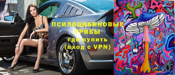 соль ск Карпинск