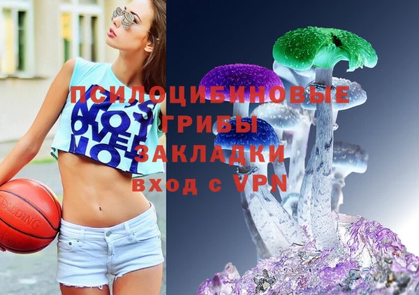 2c-b Касимов
